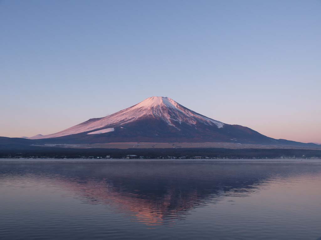 �R���Β��r����̓��̏o