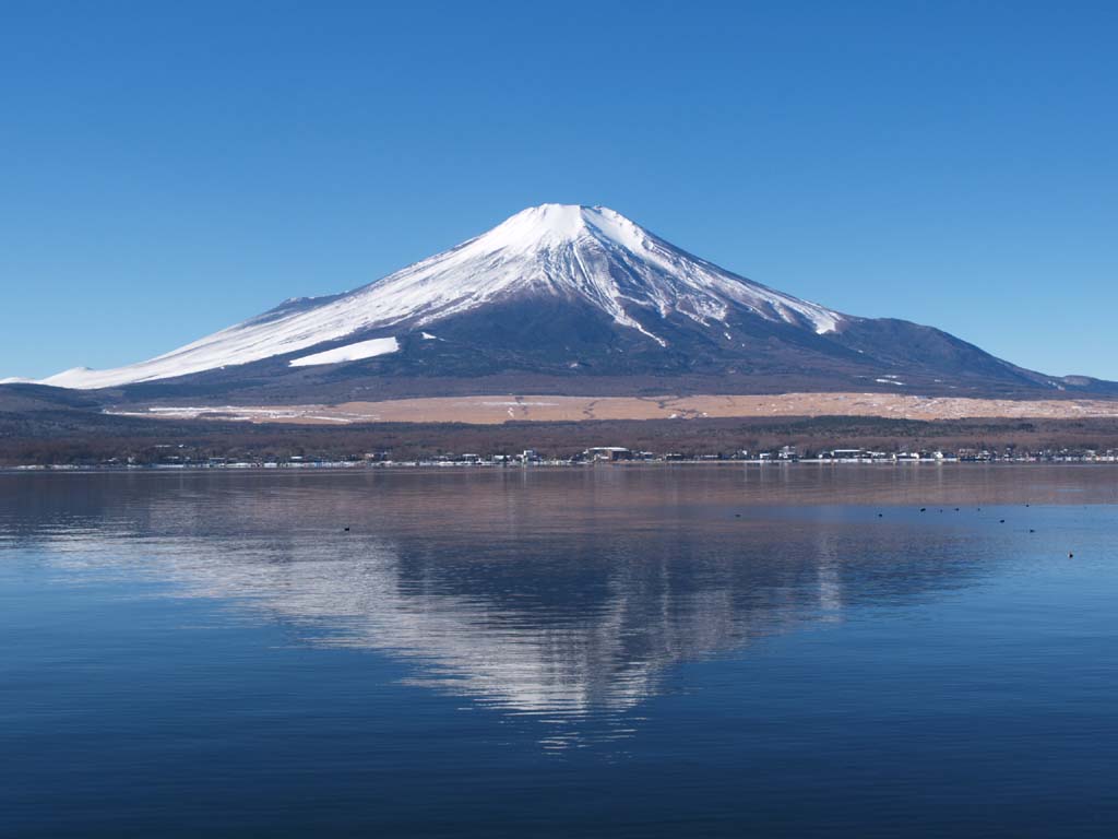 �R���Β��r����̋t���x�m