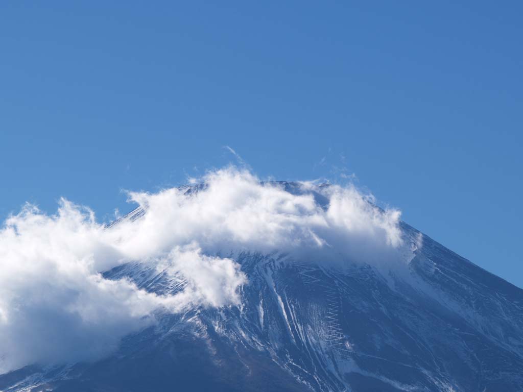 �_�̒��̕x�m�R