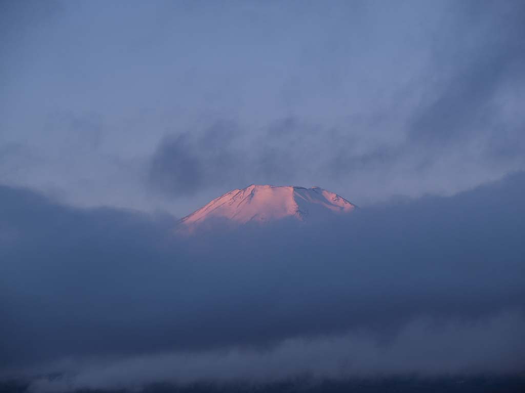 ���r����̓��̏o