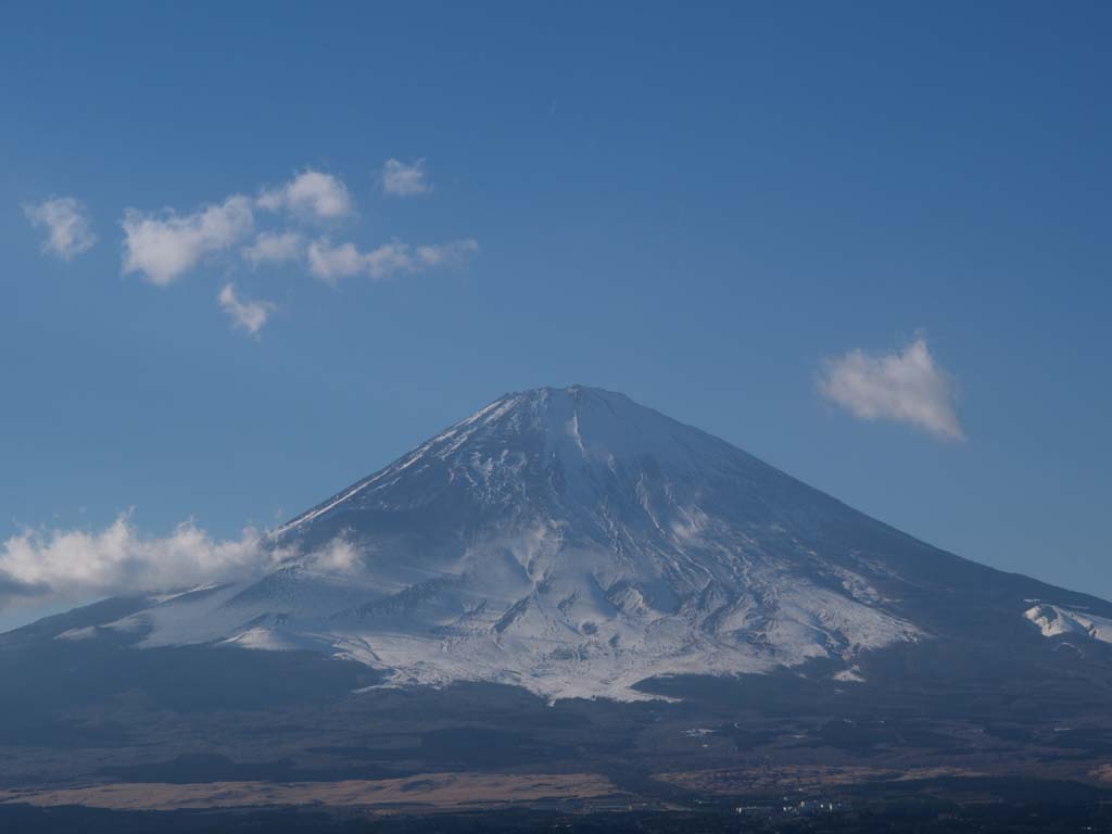 ��a�ꂩ��̕x�m�R