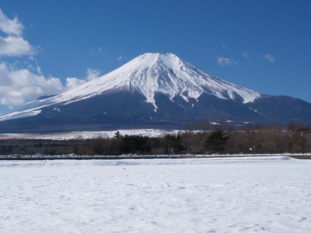 �Ԃ̓s��������̐ᔨ�ƕx�m�R