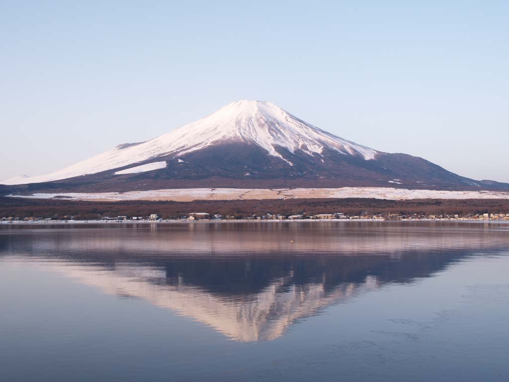 ���r����̓��̏o