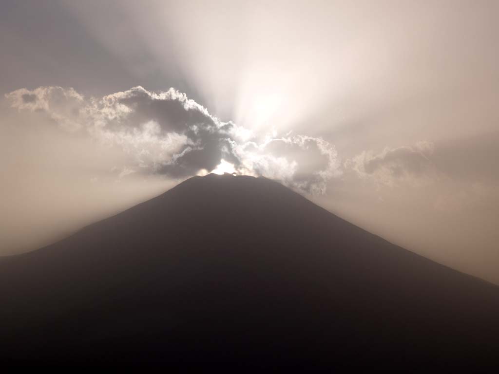 �p�m���}�䂩��̃_�C�������h�x�m(3)