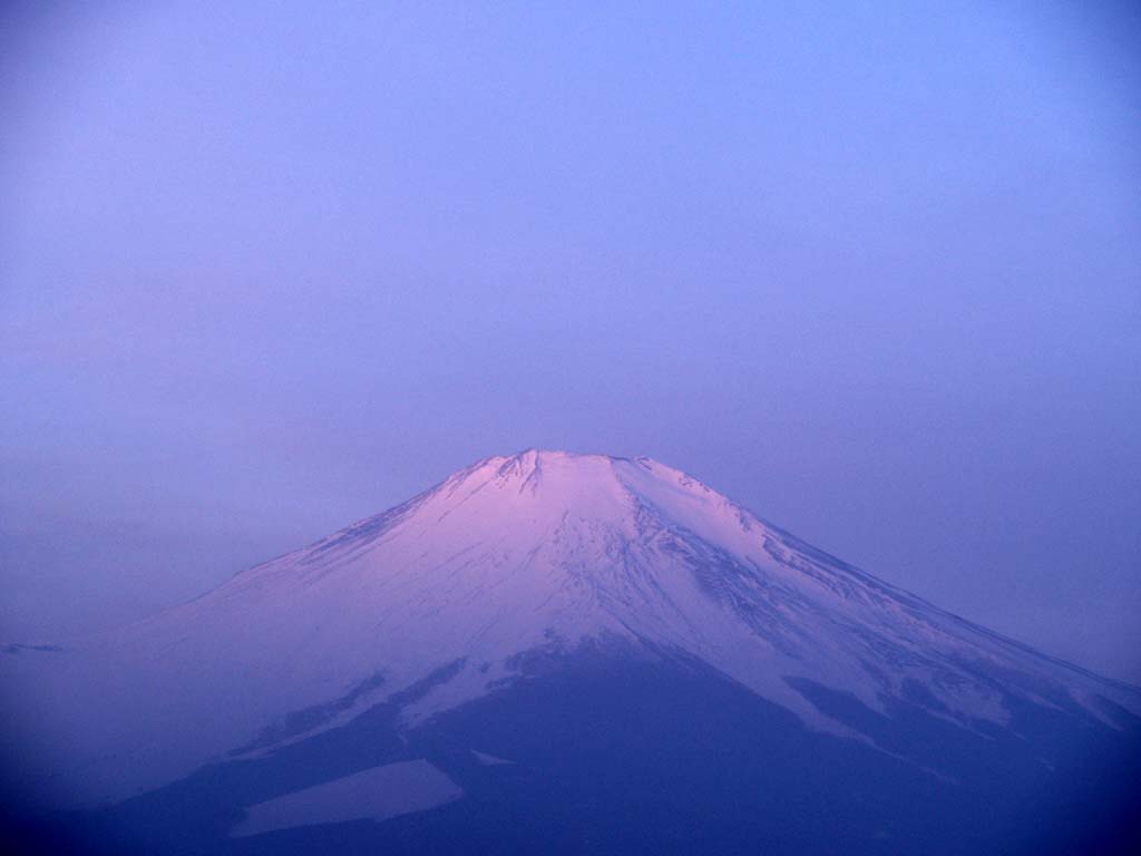 �p�m���}�䂩��̒��Ă�