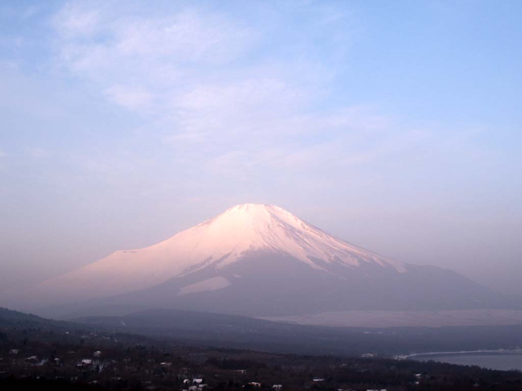 �p�m���}�䂩��̒��Ă�(3)