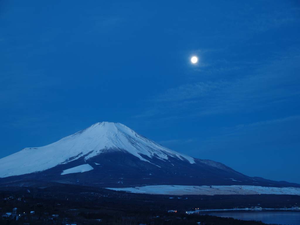 �p�m���}�䂩��̒��Ă�