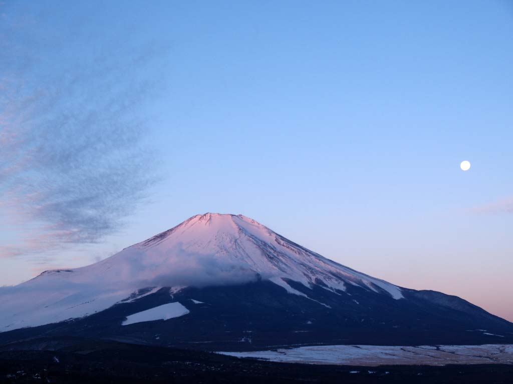 �p�m���}�䂩��̒��Ă�(2)