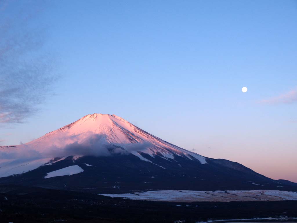 �p�m���}�䂩��̒��Ă�(3)