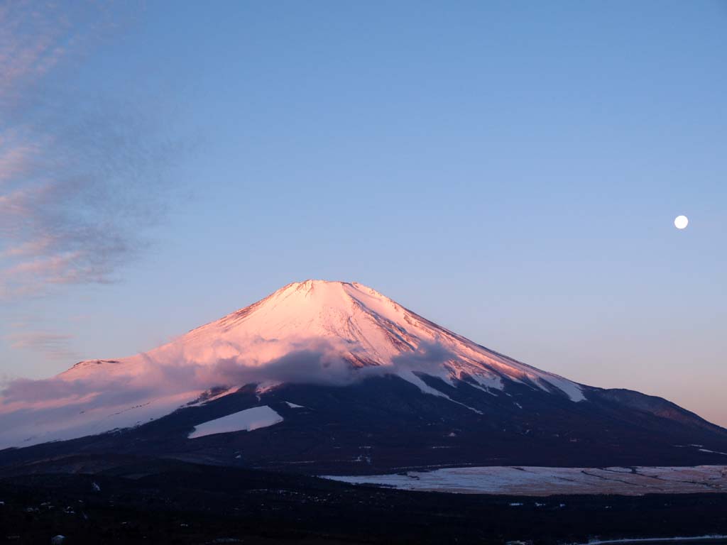 �p�m���}�䂩��̒��Ă�(4)