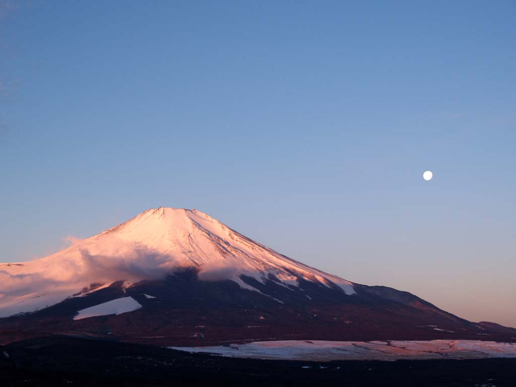 �p�m���}�䂩��̒��Ă�(6)