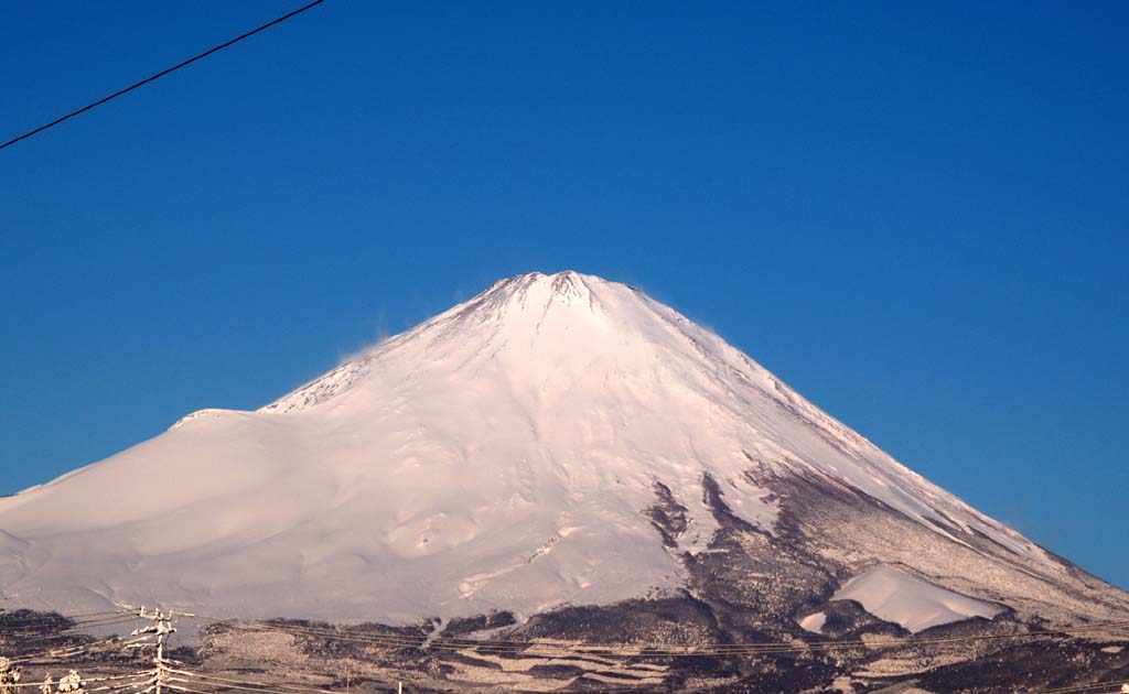 �ӂ�����܂���̕x�m�R�̐�i�F