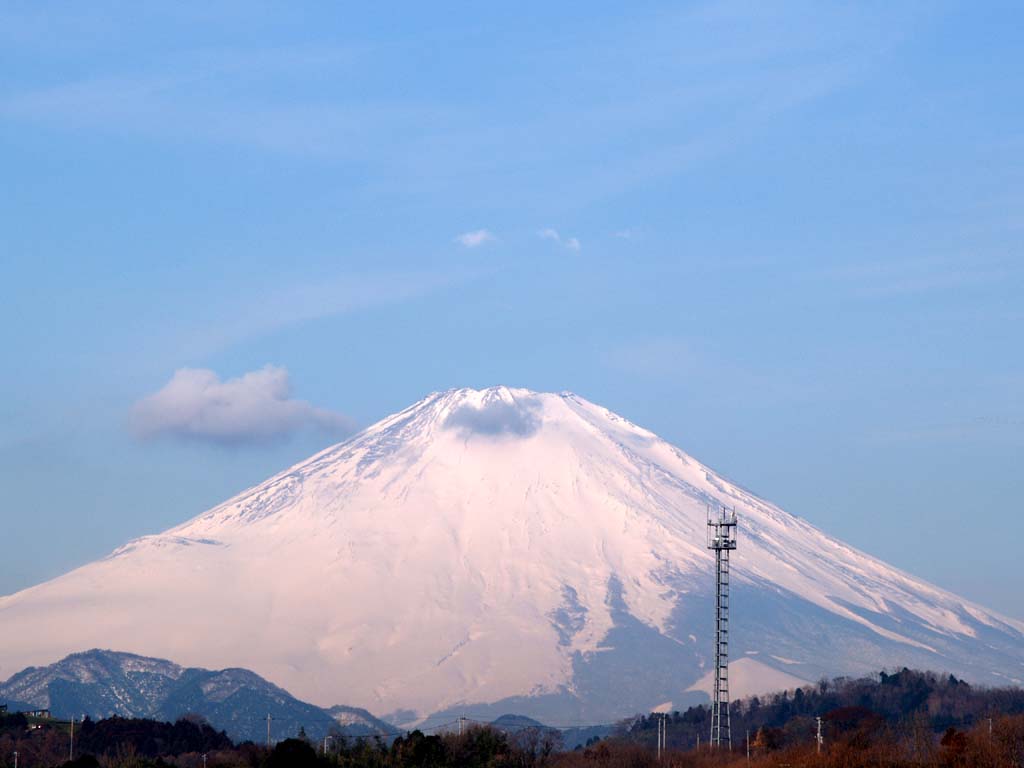 ���䒆����������̉΂̌��₮��ƕx�m�R