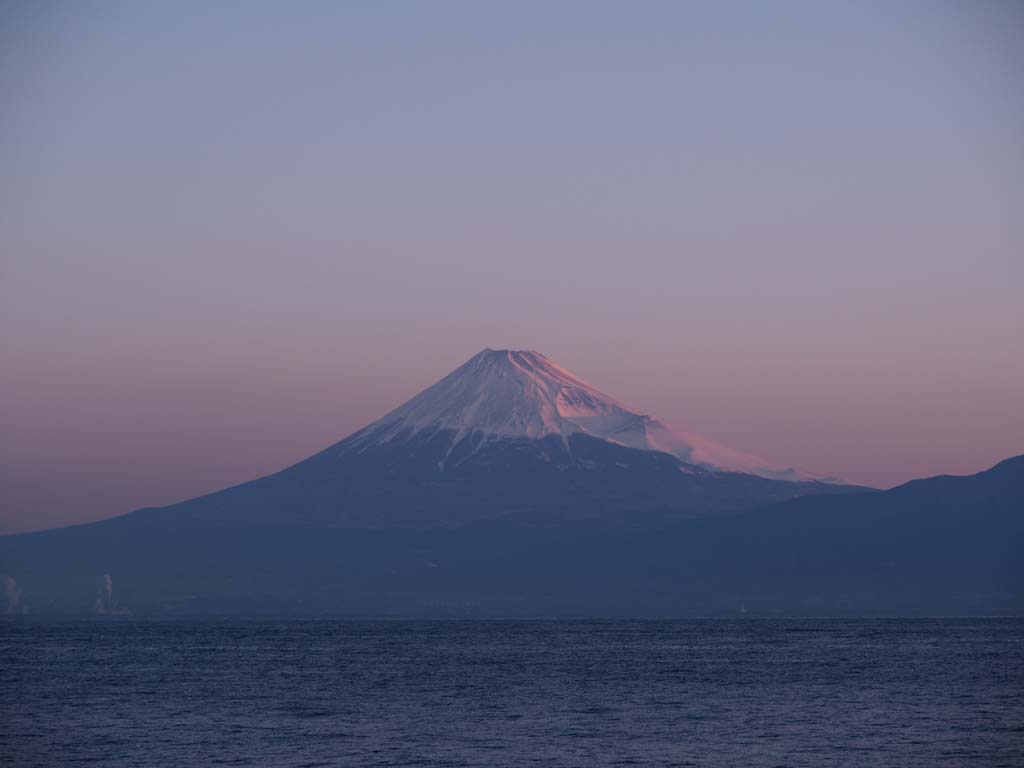 �˓c������̒��Ă�