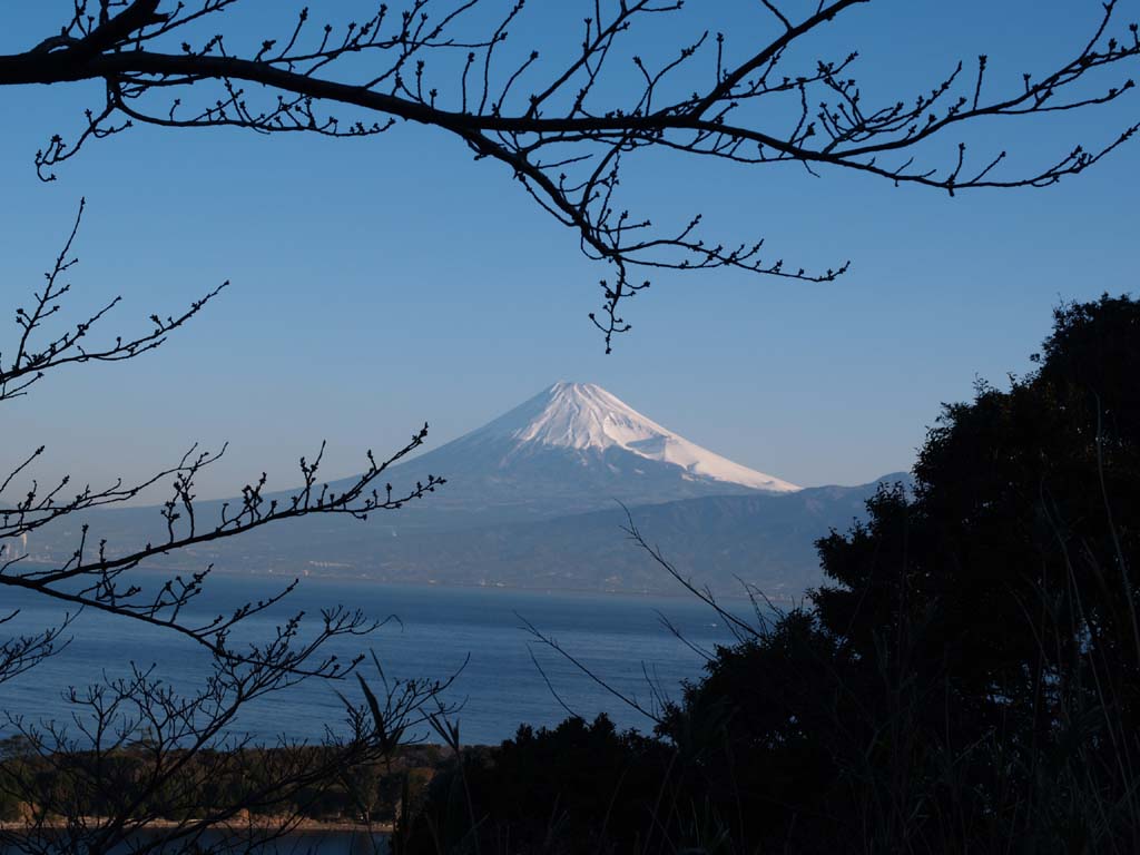 �吣�肩��̕x�m�R