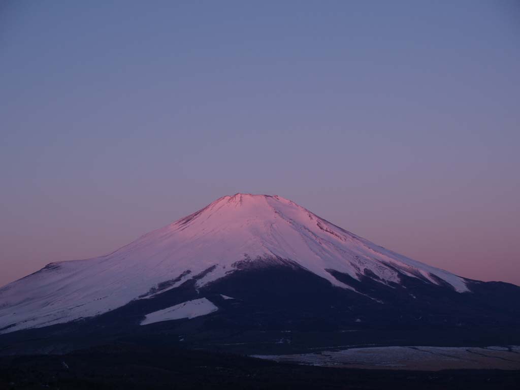 �R���΃p�m���}�䂩��̒��Ă�