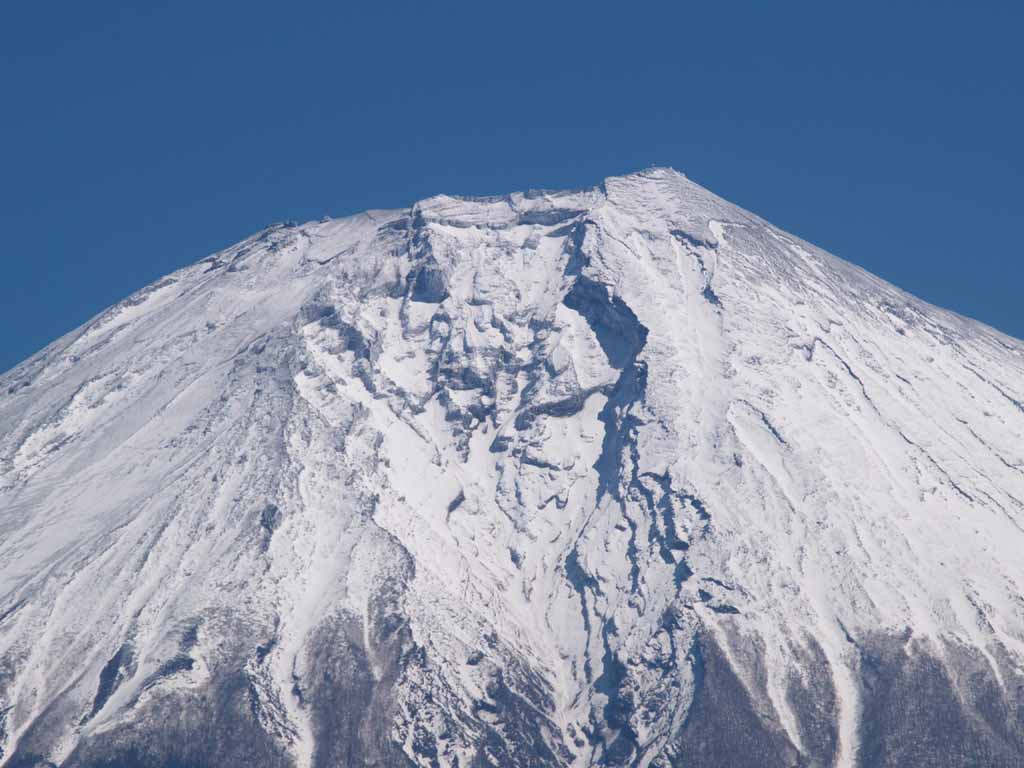 ������������̑�����