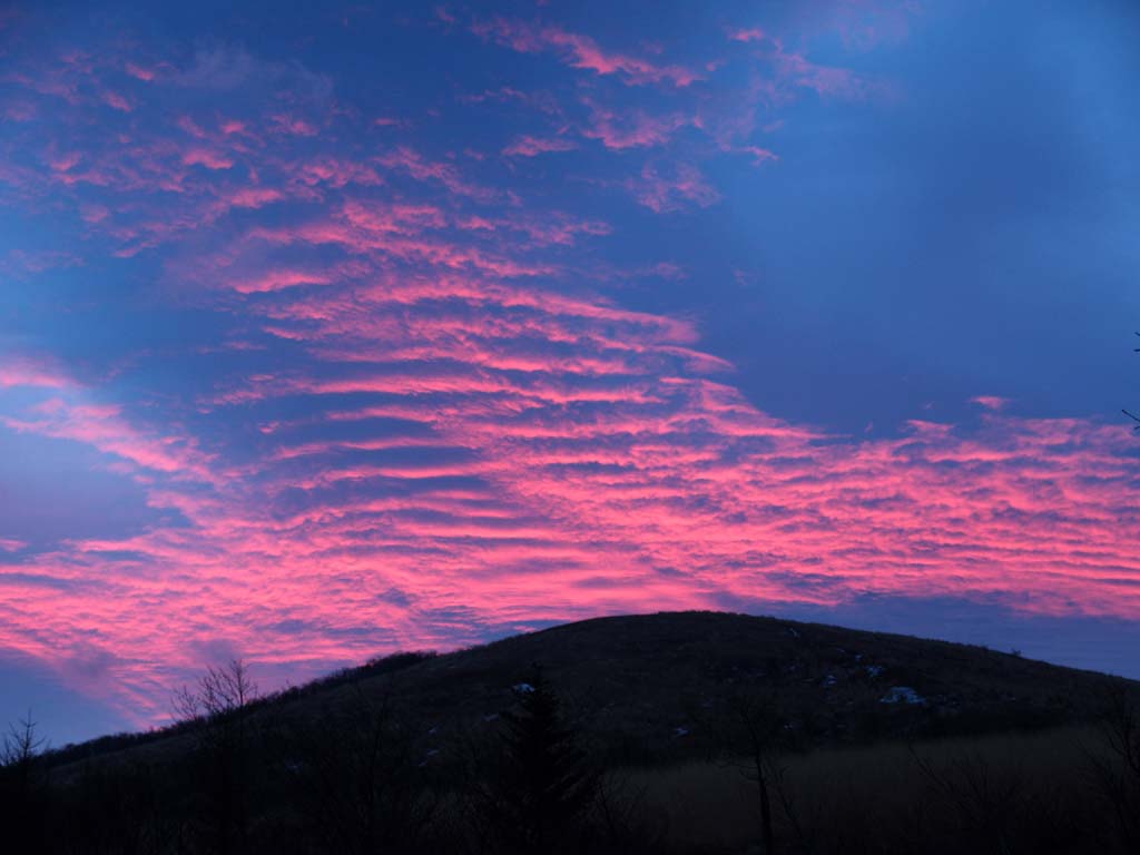 �R���΃p�m���}�䂩��̒��Ă�