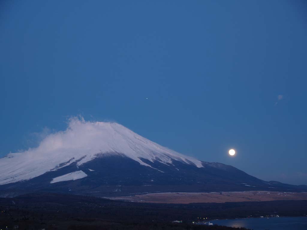 �R���΃p�m���}�䂩��̌��̓���