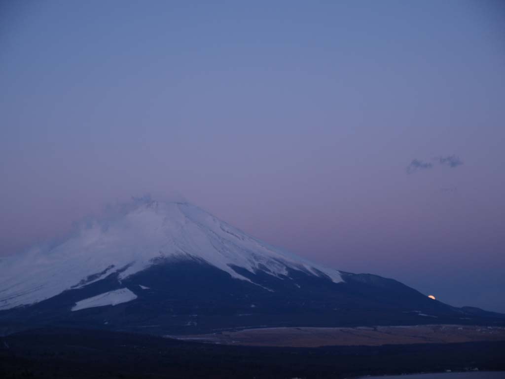 �R���΃p�m���}�䂩��̌��̓���ƒ��Ă�