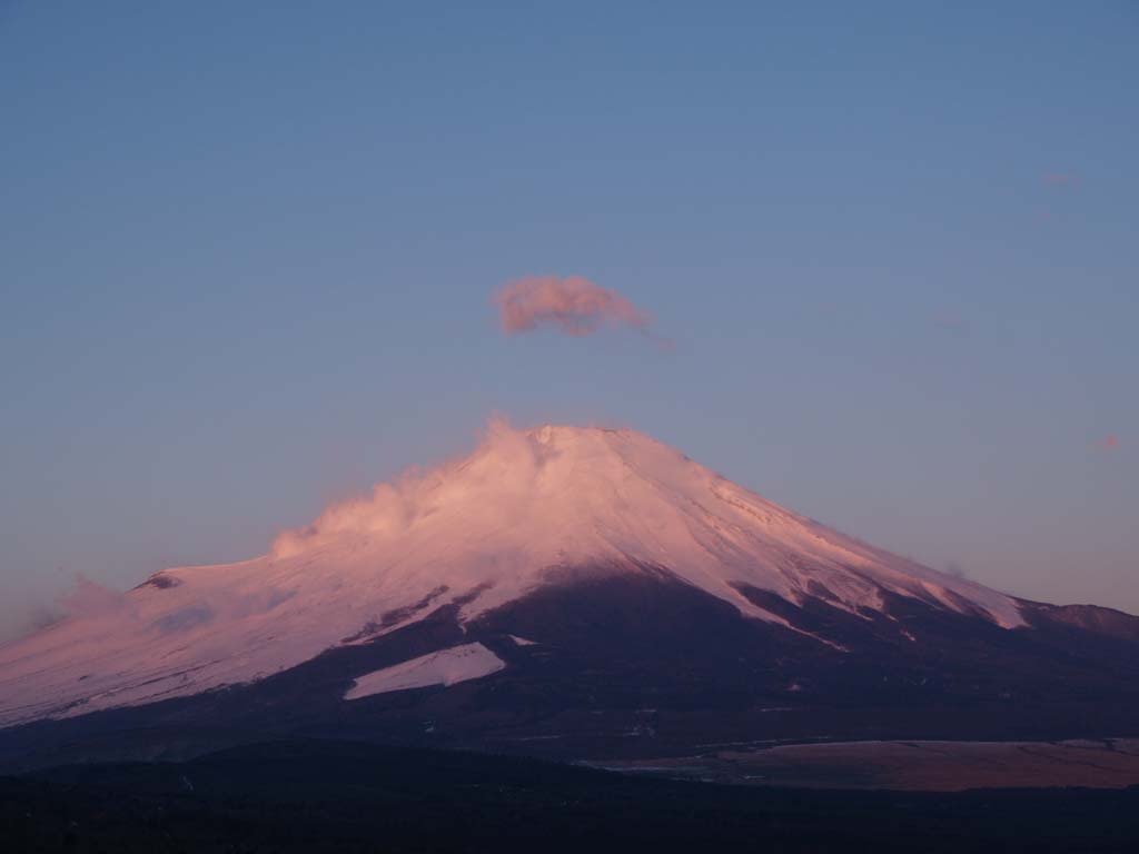 �R���΃p�m���}�䂩��̒��Ă�(4)