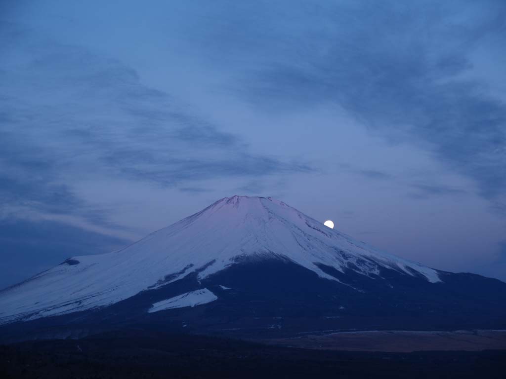 �R���΃p�m���}�䂩��̌��̓���(2)