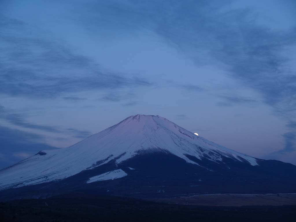 �p�m���}�䂩��̌��̓���(3)�ƒ��Ă�