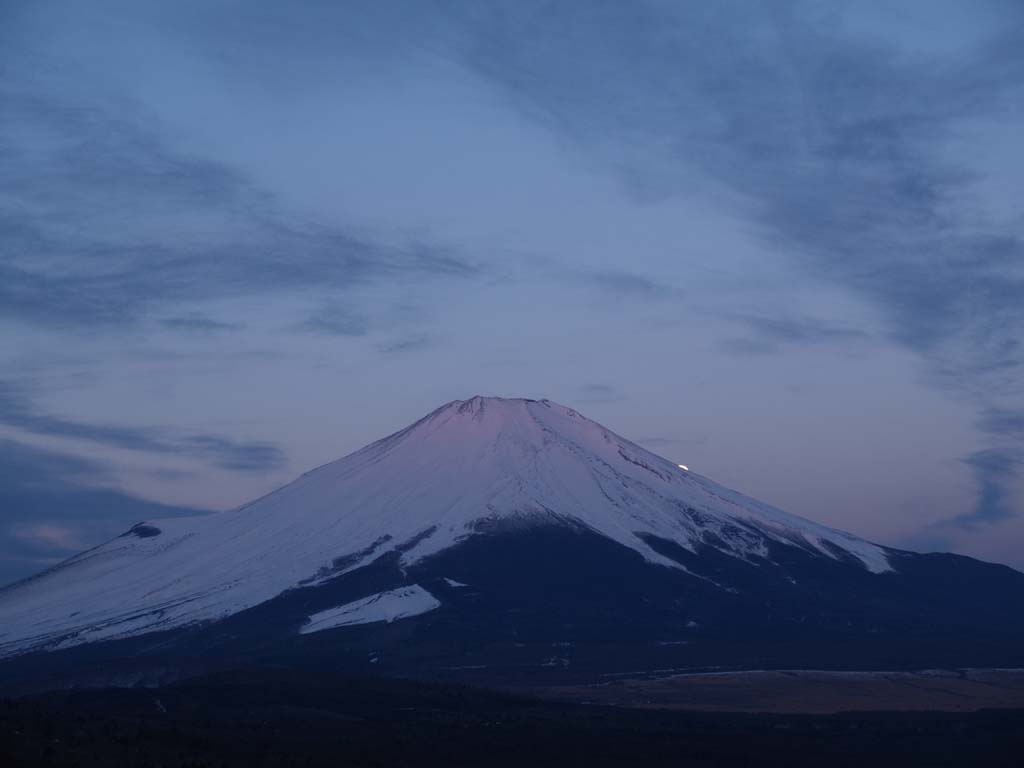 �R���΃p�m���}�䂩��̒��Ă�