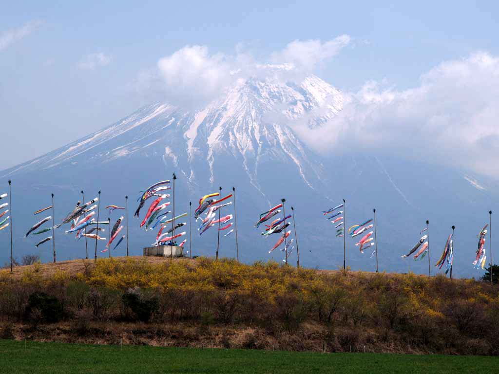 �����̂ڂ�ƕx�m�R