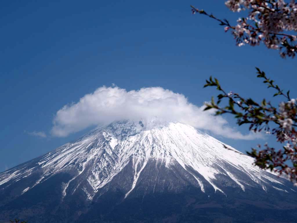 �~���N�����h����̍��ƕx�m�R