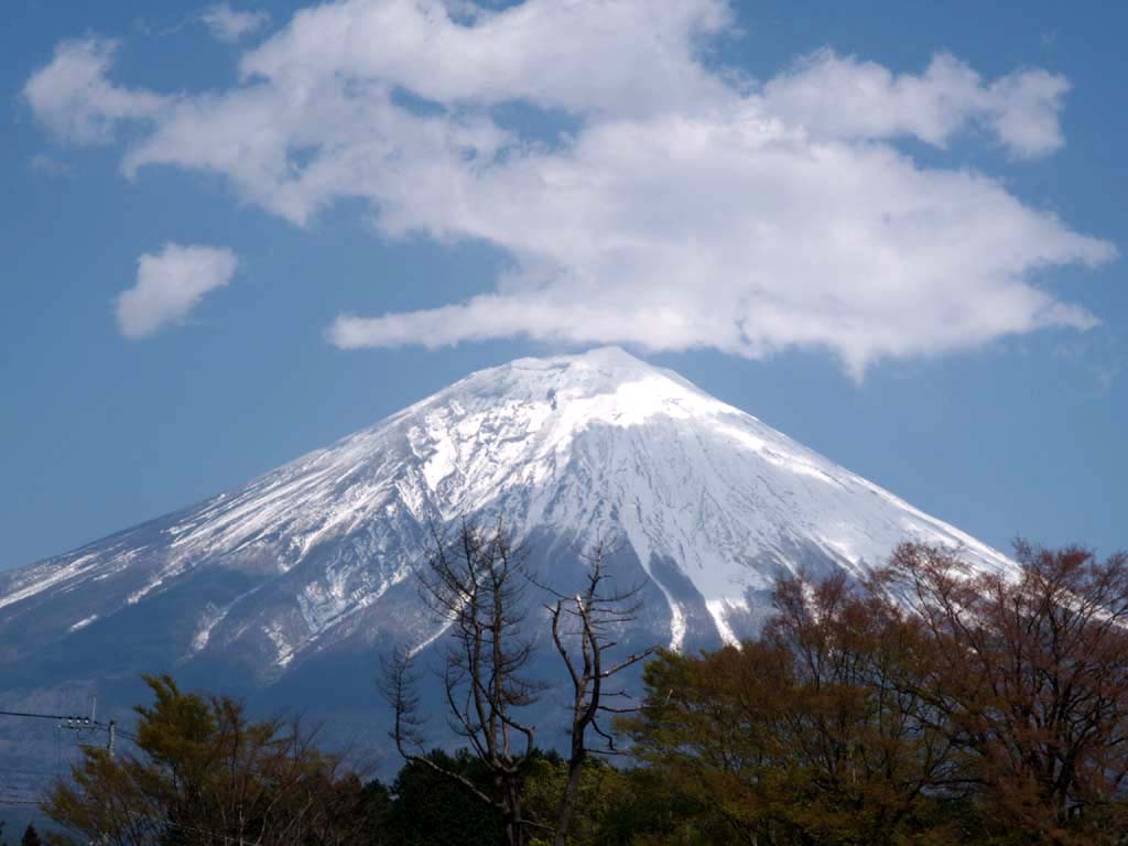 ��������̕x�m