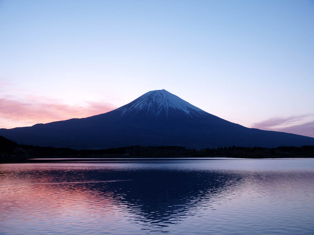 �c�ь΂���̒��Ă�