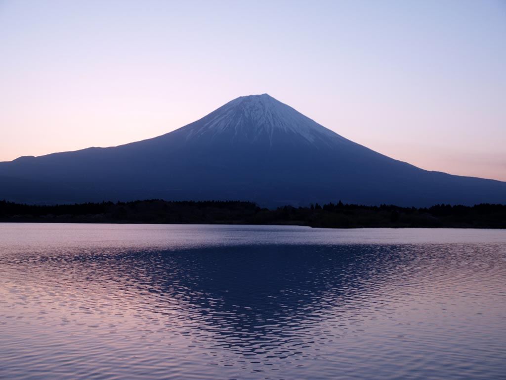 �_�C�������h�O�̕x�m�R