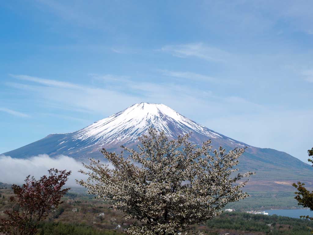 ���ƕx�m�R