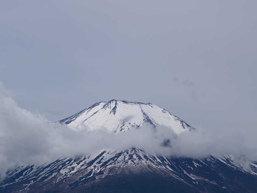 �щ_�ƕx�m�R