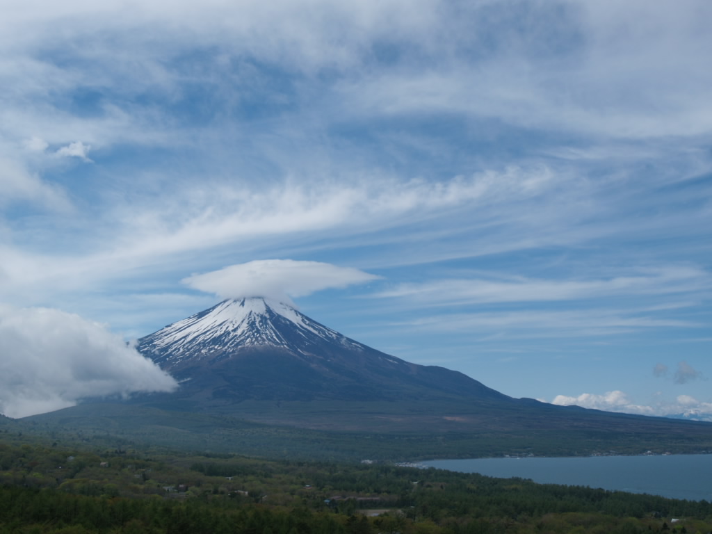 �邵�_�ƕx�m�R