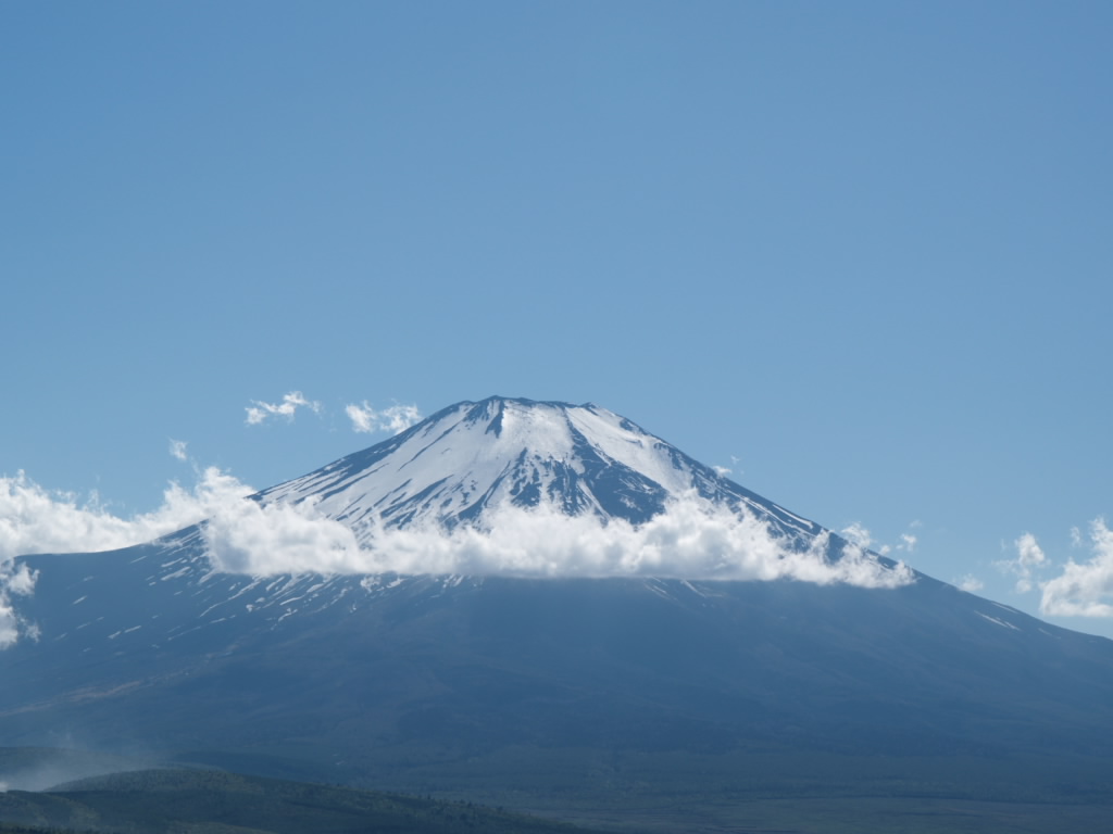 �ꕶ���_�ƕx�m�R