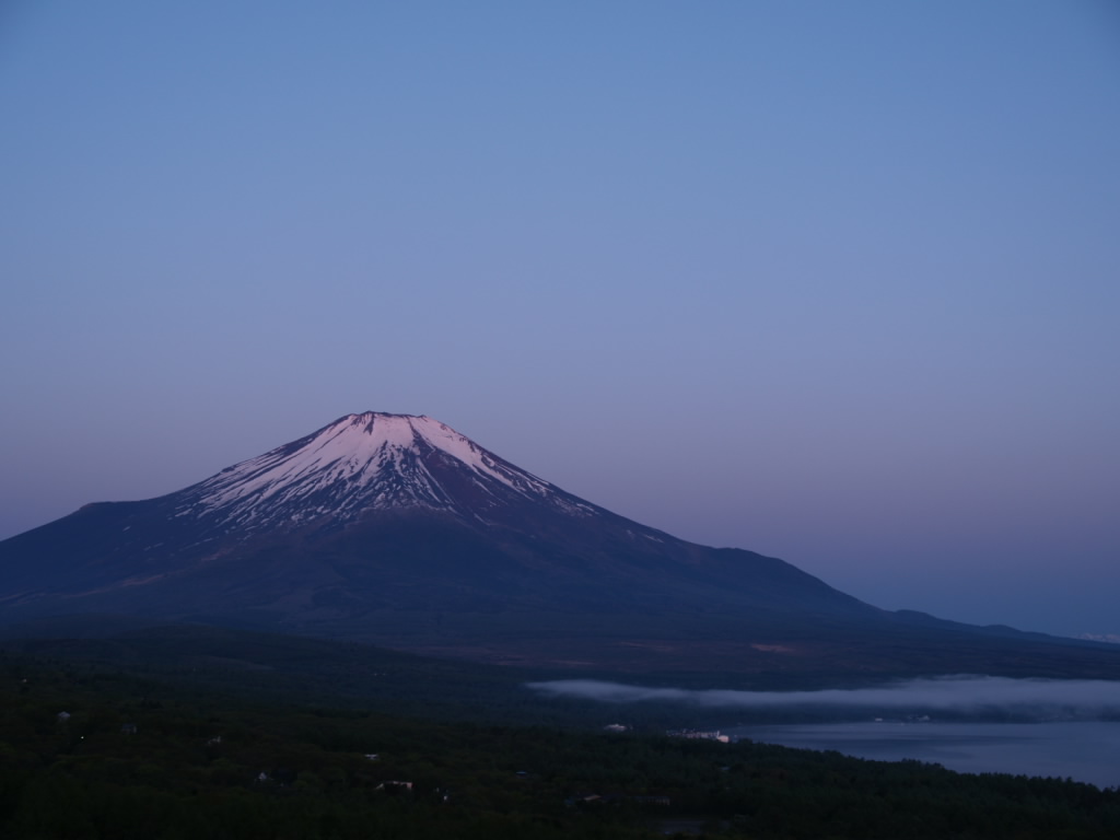 �W���̒��Ă�