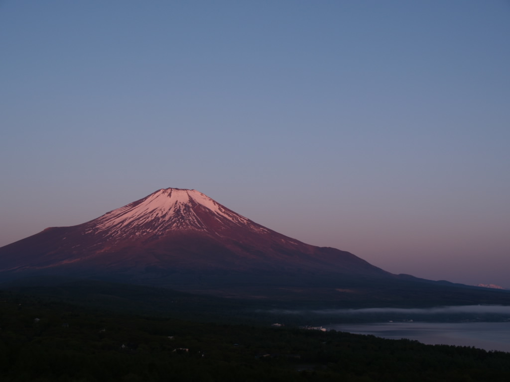 �W���̒��Ă�(2)