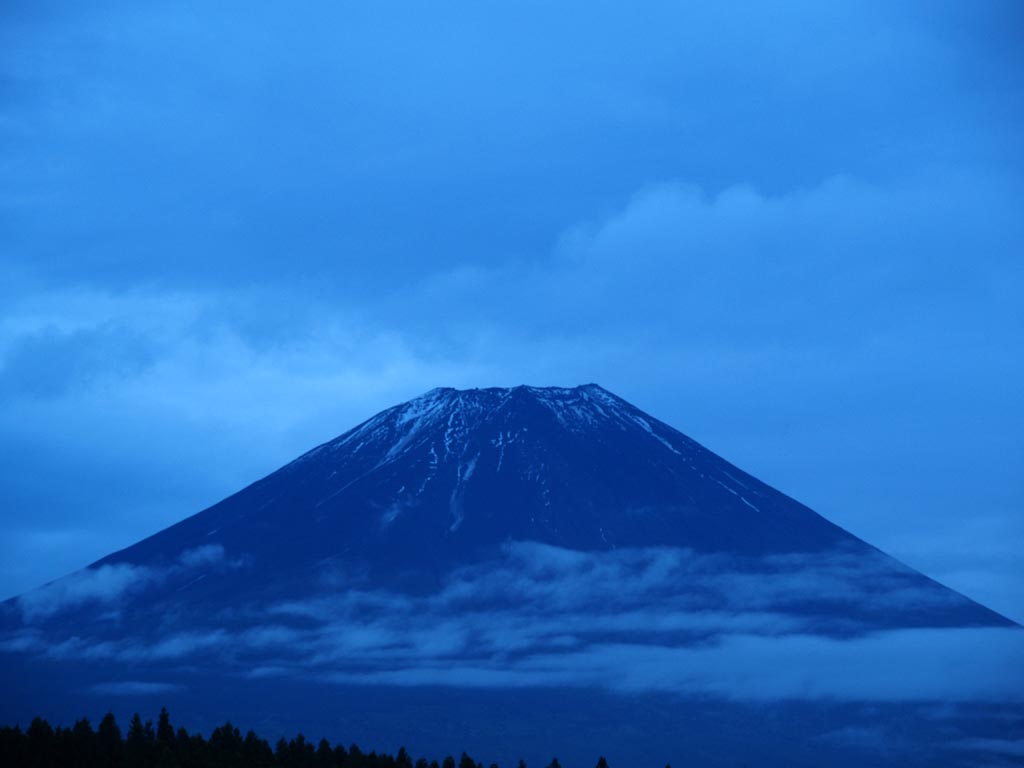 ������������̓��̏o