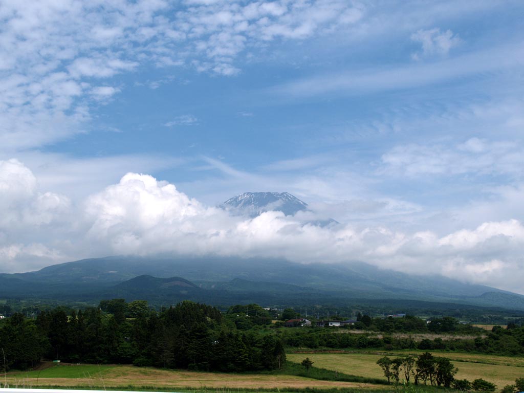 ������������̕x�m�R