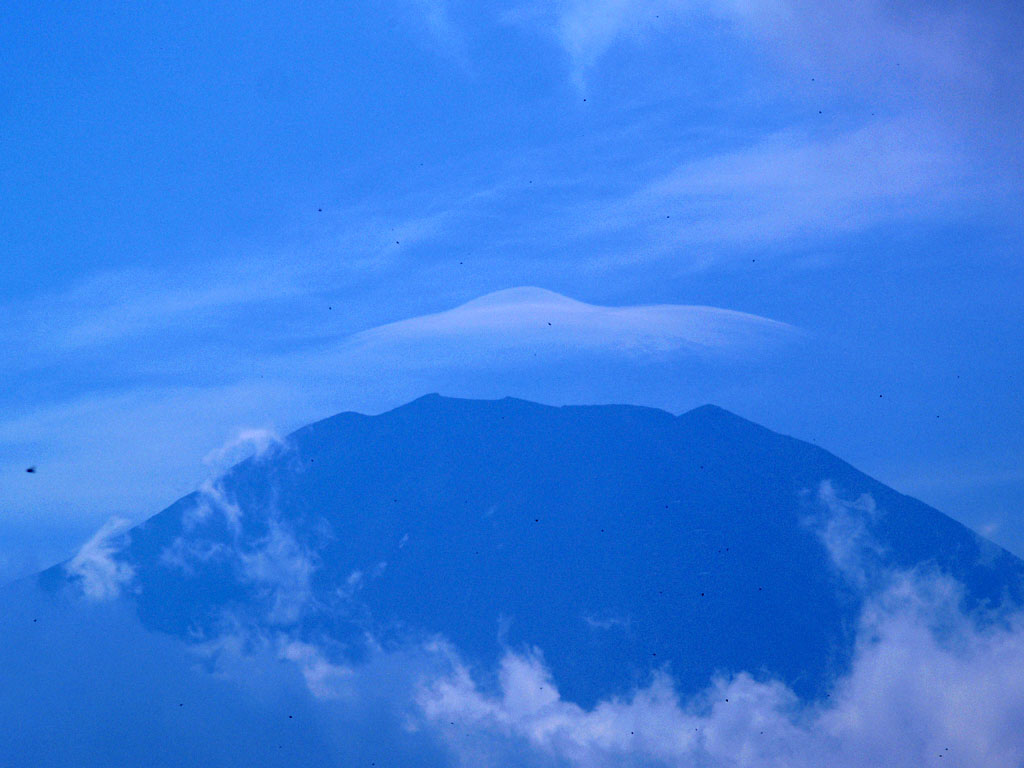 �R���΃p�m���}�䂩��̕x�m�R