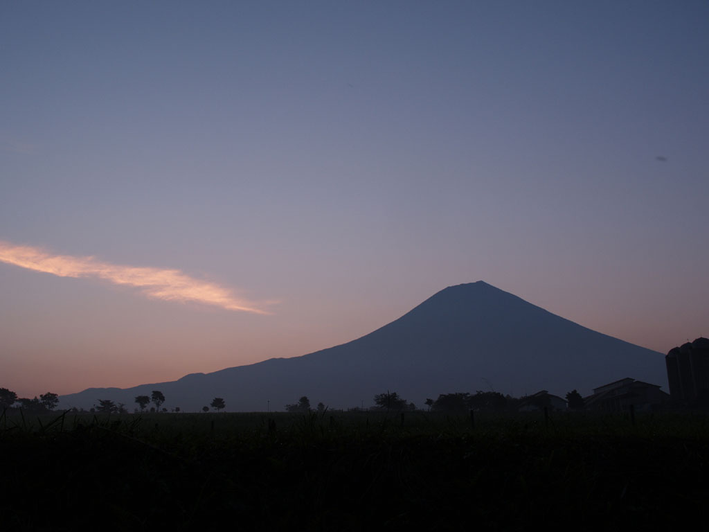 ������������̓��̏o�O