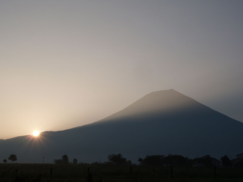 ������������̓��̏o