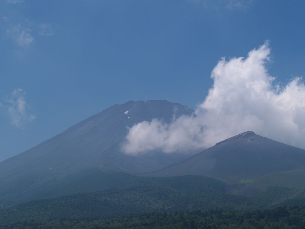 �����ˌ�������̕x�m�R(2)