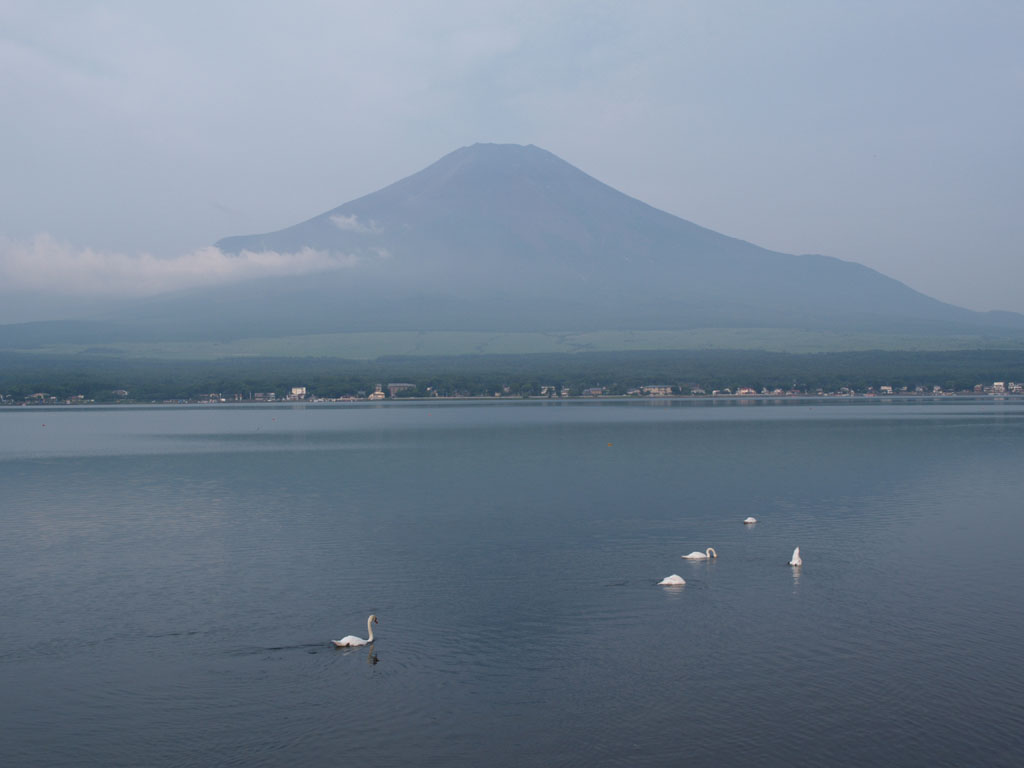 �R���ŗV�Ԕ���