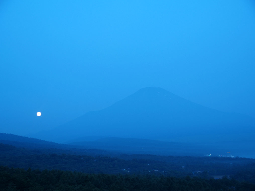 ���̓���ƕx�m�R(2)