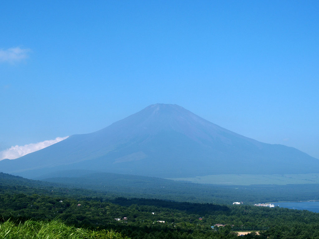 �R���΃p�m���}�䂩��̕x�m�R