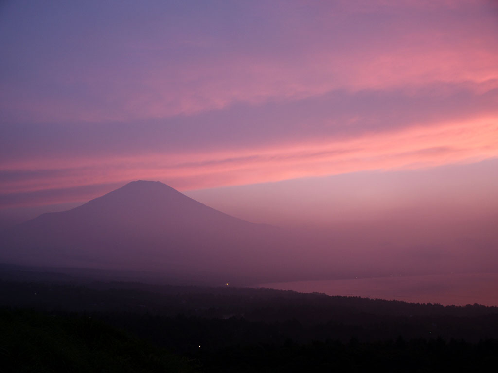 �R���΂���̗[�Ă�