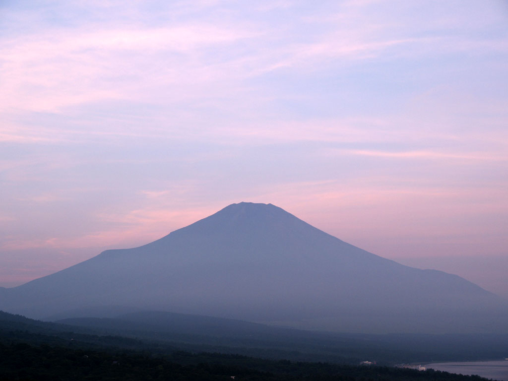 �W���̒��Ă�